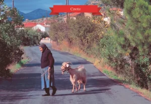 MM 012 Συσκευασία 50 Τεμαχίων