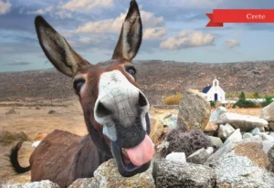 MM 044 Συσκευασία 50 Τεμαχίων