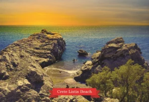 MM 081 Συσκευασία 50 Τεμαχίων