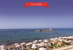 MM 085 Συσκευασία 50 Τεμαχίων