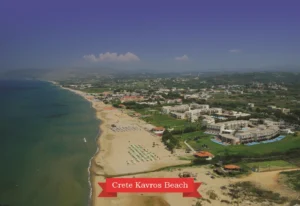 MM 095 Συσκευασία 50 Τεμαχίων