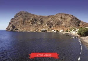 MM 101 Συσκευασία 50 Τεμαχίων