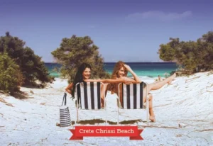 MM 103 Συσκευασία 50 Τεμαχίων