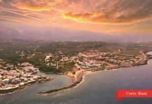 MM 123 Συσκευασία 50 Τεμαχίων