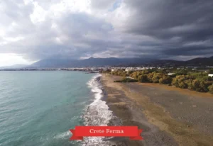 MM 145 Συσκευασία 50 Τεμαχίων