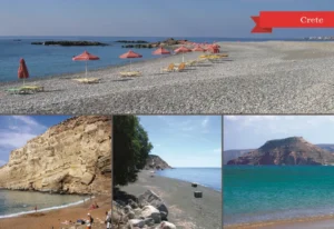 MM 219 Συσκευασία 50 Τεμαχίων