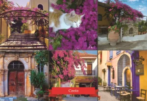 MM 223 Συσκευασία 50 Τεμαχίων