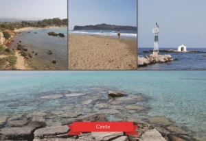 MM 226 Συσκευασία 50 Τεμαχίων