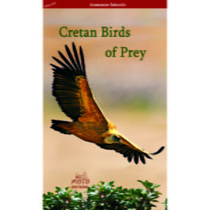 Cretan Birds of Prey