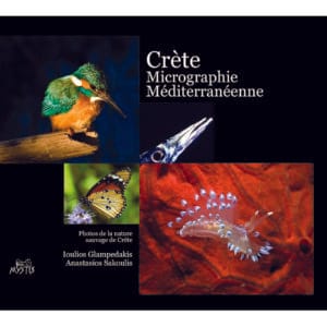 Crète : miniature méditerranéenne (Κρήτη: Μεσογειακή μικρογραφία)