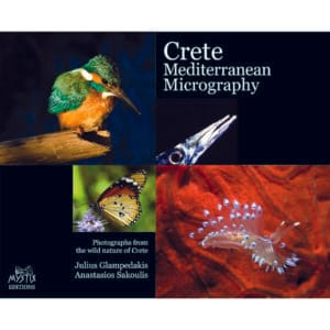 Crete: Mediterranean miniature (Κρήτη: Μεσογειακή μικρογραφία)